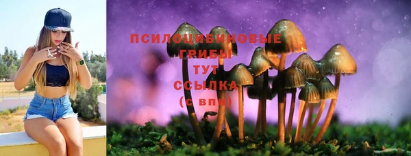 хмурый Покровск
