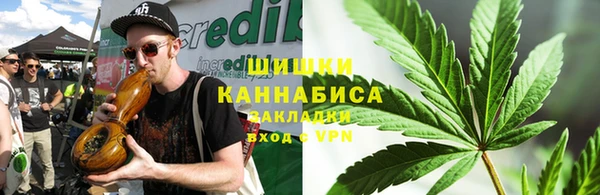 спайс Покачи