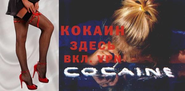 спайс Покачи