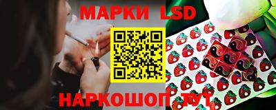 дурь Тара