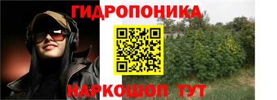 дурь Тара