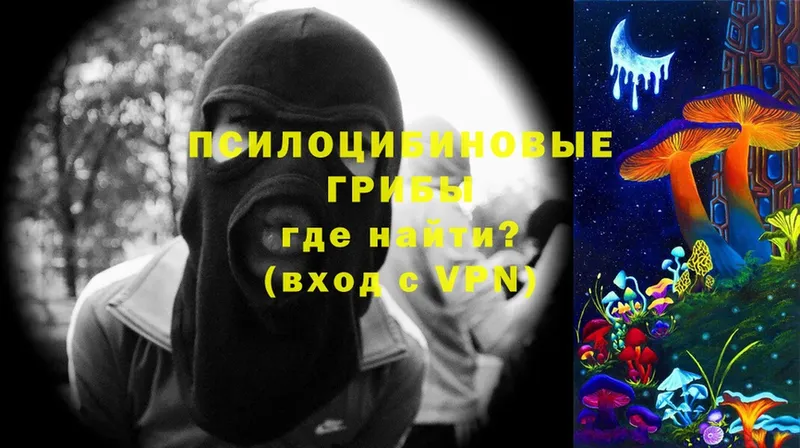купить наркоту  Алапаевск  Галлюциногенные грибы Magic Shrooms 
