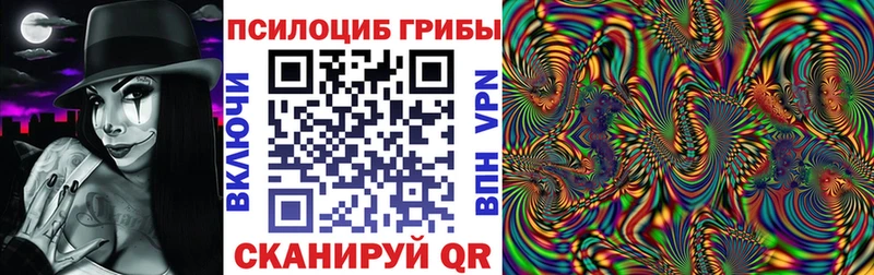 Галлюциногенные грибы Psilocybe  где купить   Алапаевск 