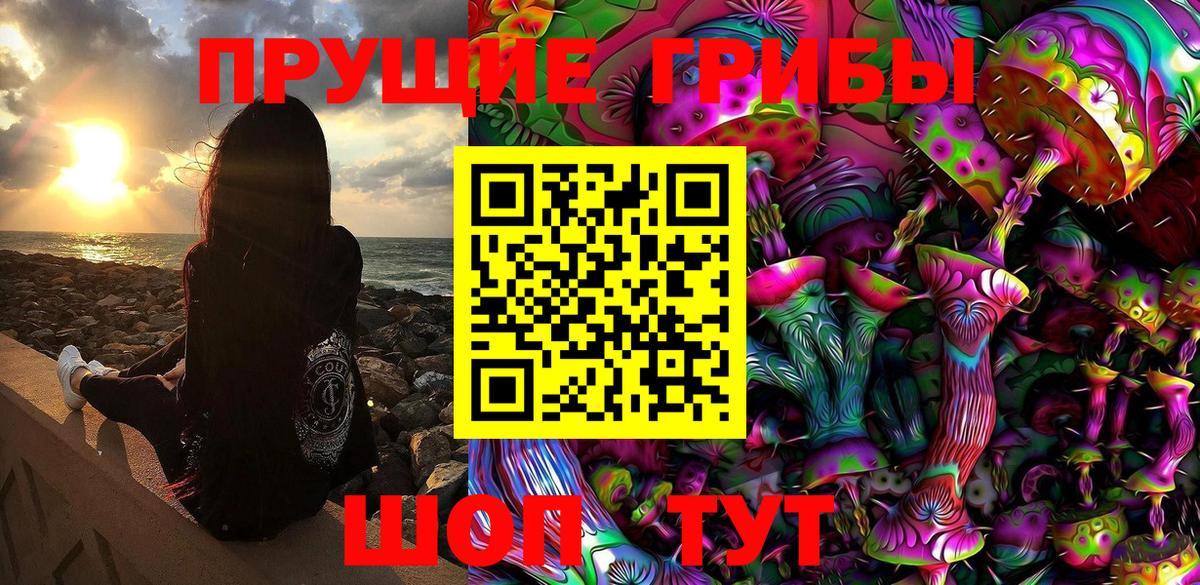 Галлюциногенные грибы Psilocybe Алапаевск