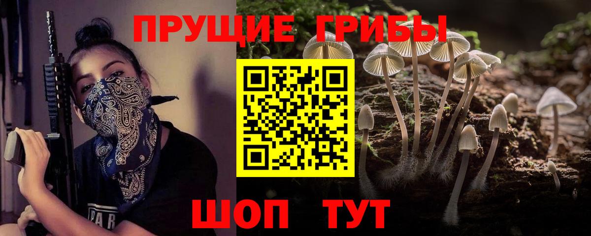 Алапаевск  Галлюциногенные грибы Psilocybe  Вход с VPN 